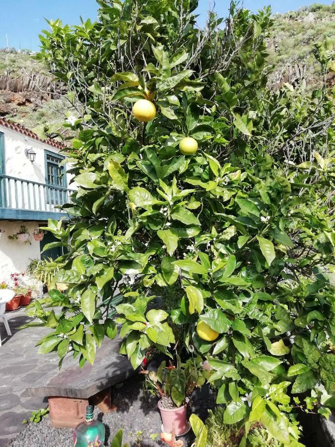 Grosse Finca 19Jh, Pool, Terrasse, Nahe Santa Cruz Santa Cruz de la Palma  Exterior foto